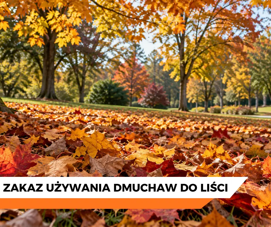 Obowiązujący zakaz używania dmuchaw do liści na Mazowszu