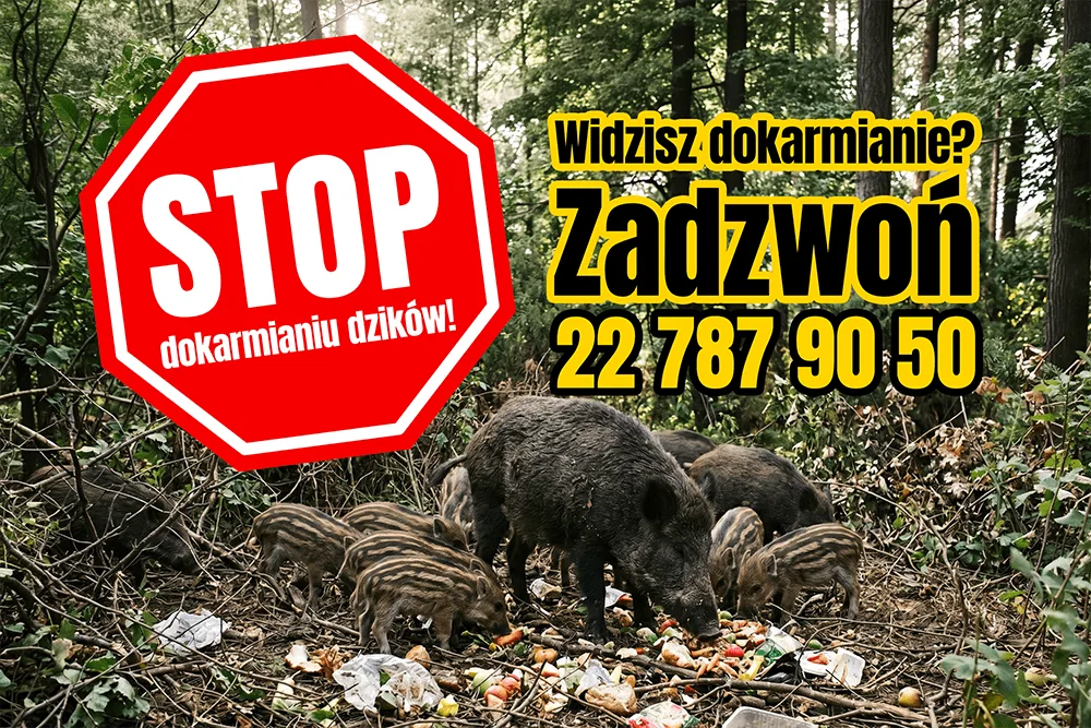 Nie karm dzikich zwierząt