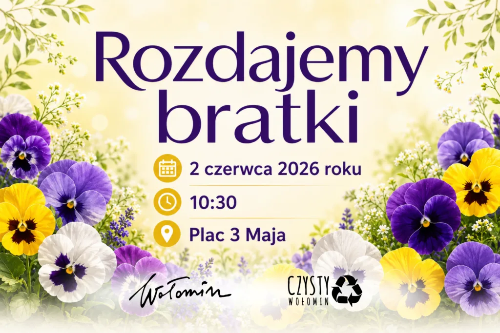 Bezpłatne bratki do odebrania w Wołominie