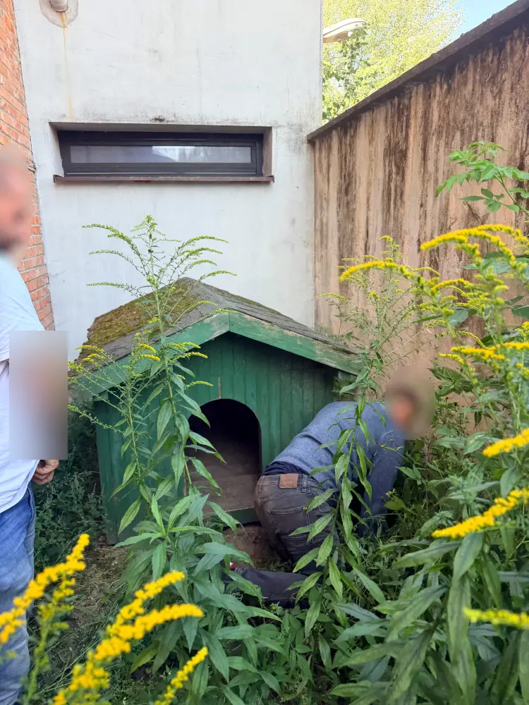 Policja w Wołominie odzyskała skradzione pojazdy i części warte 500 tysięcy złotych