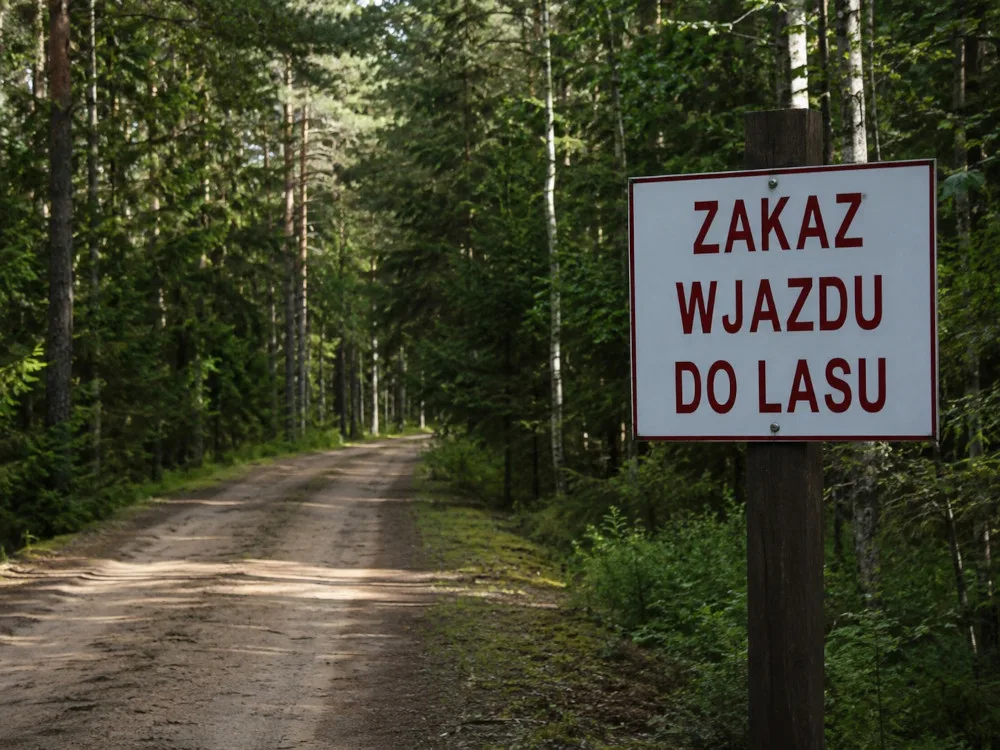 Zakaz wjazdu pojazdami silnikowymi do lasu
